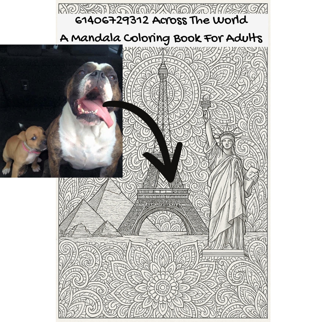 61406729312 Across The World: A Mandala Coloring Book For Adults