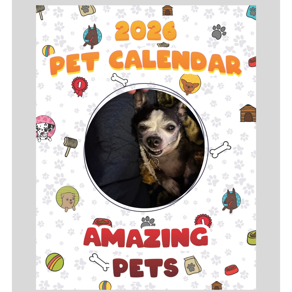 Boston Terrier/chihuahua Stars in Stunning Pets: A 2026 Pet Calendar