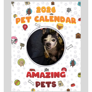 Boston Terrier/chihuahua Stars in Stunning Pets: A 2026 Pet Calendar