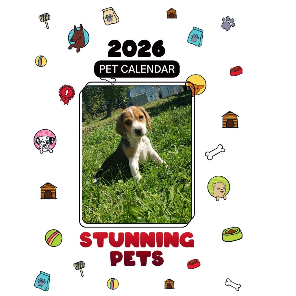 1 Headlines Stunning Pets: A 2026 Pet Calendar