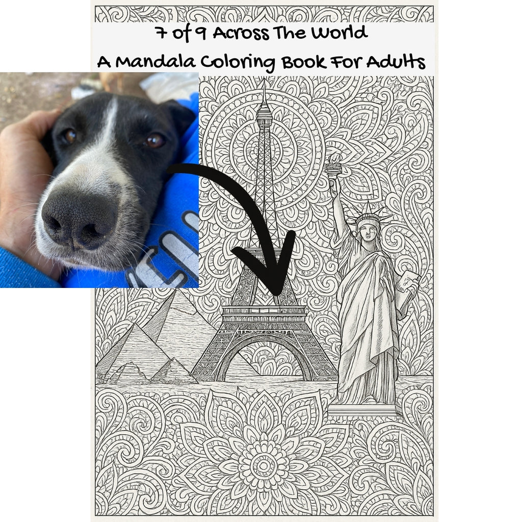 7 of 9 Across The World: A Mandala Coloring Book For Adults