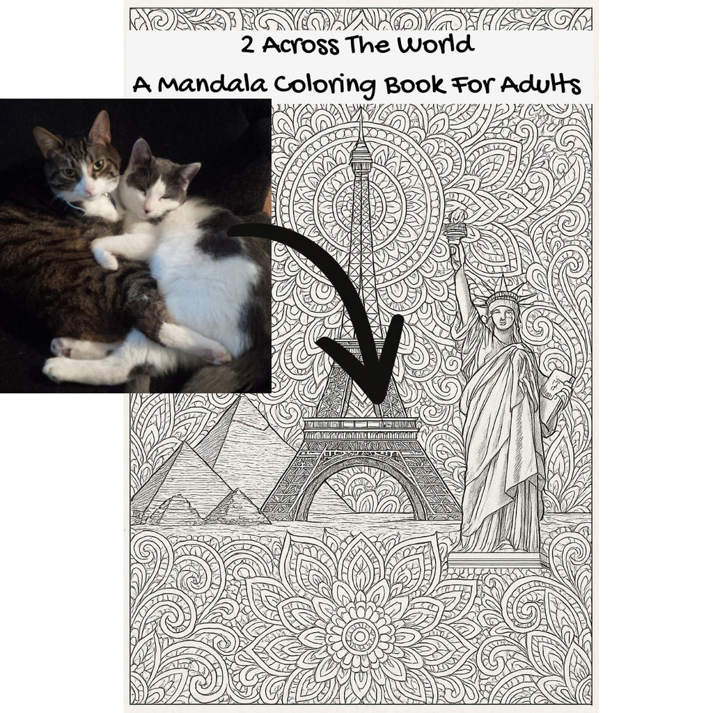 2 Across The World: A Mandala Coloring Book For Adults