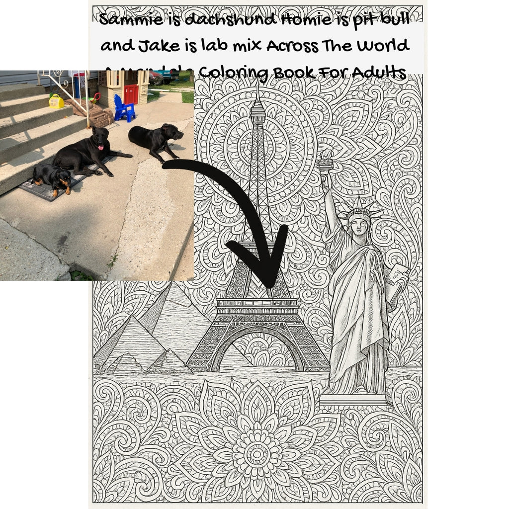Sammie is dachshund Homie is pit bull and Jake is lab mix Across The World: A Mandala Coloring Book For Adults