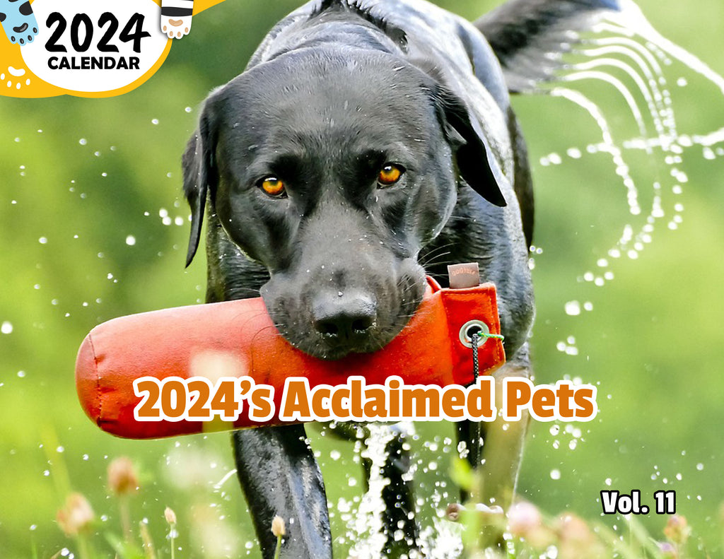 2024's Acclaimed Pets Volume Eleven: 2024 Wall Calendar (Published)