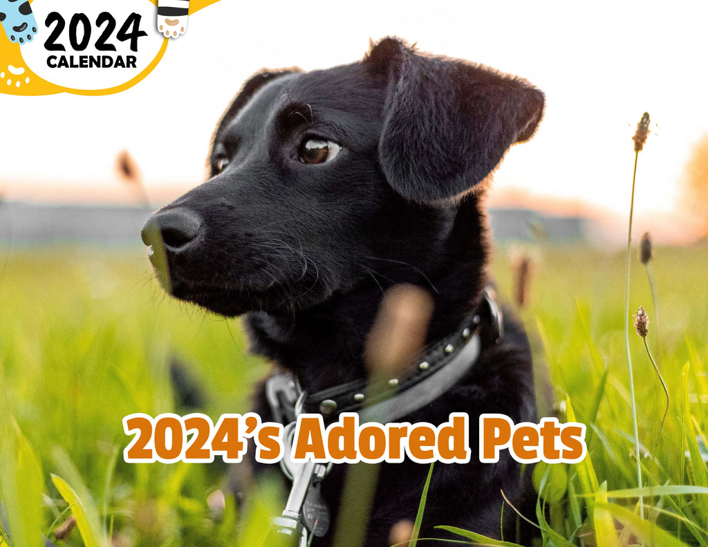 2024's Adored Pets: 2024 Wall Calendar (Published)