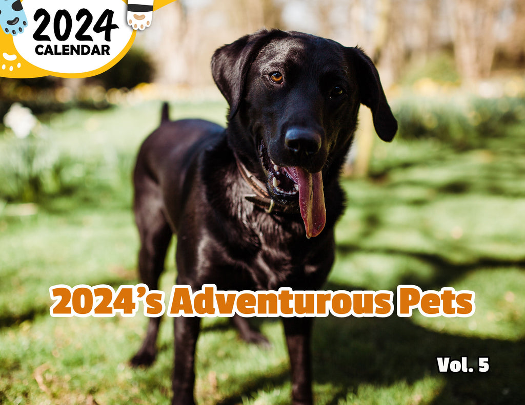 2024's Adventurous Pets Volume Five: 2024 Wall Calendar (Published)
