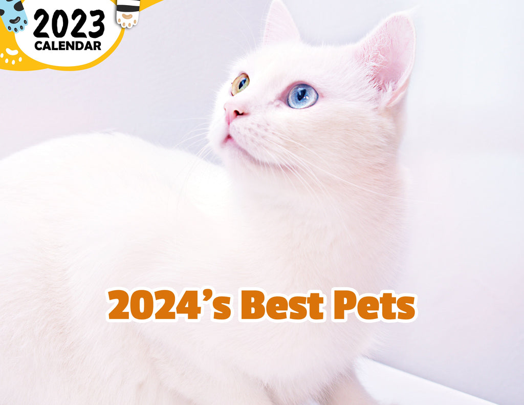 2024 Calendars Page 22 Praise My Pet!