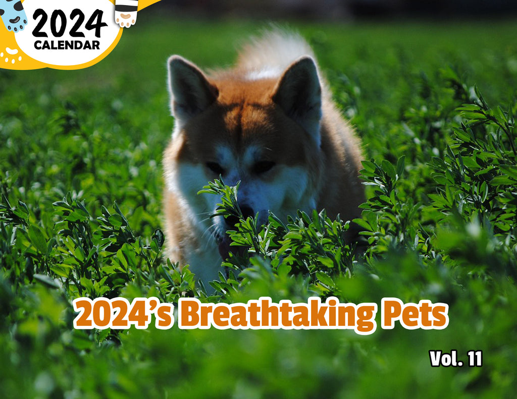 2024's Breathtaking Pets Volume Eleven: 2024 Wall Calendar (Published)