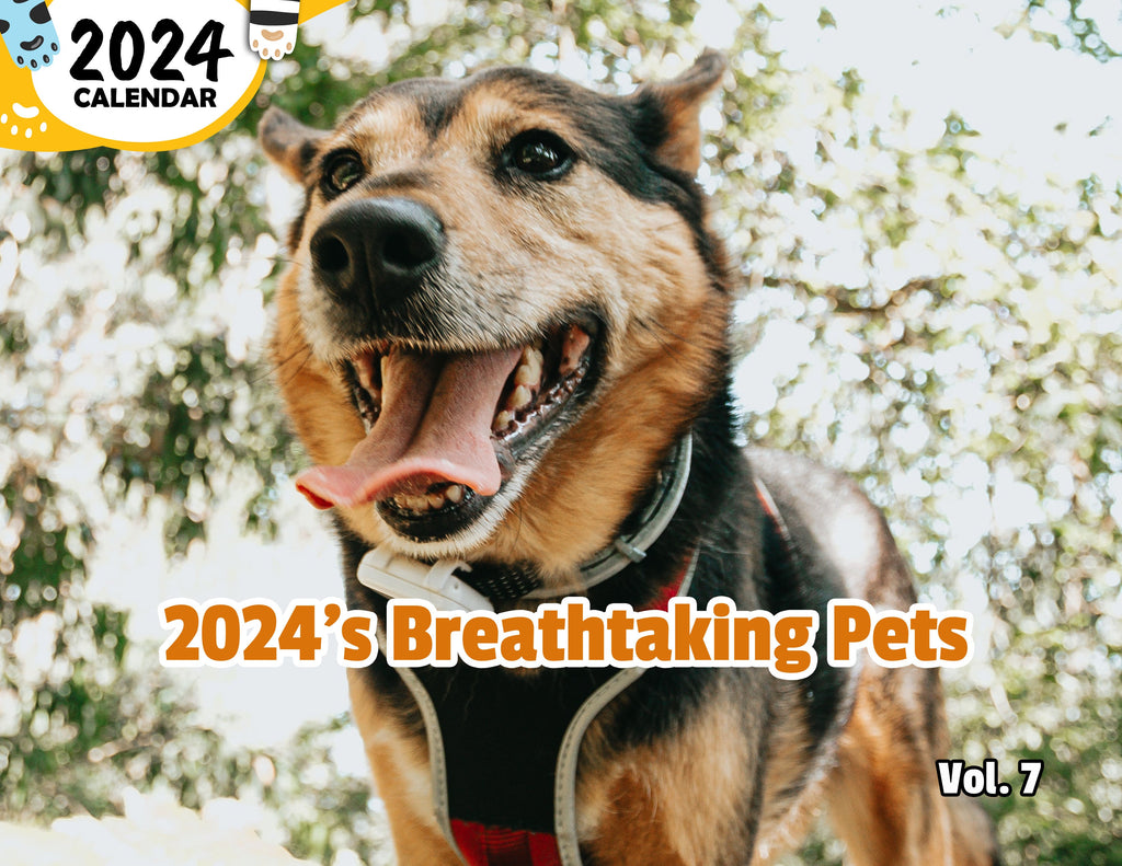 2024's Breathtaking Pets Volume Seven: 2024 Wall Calendar (Published)