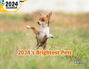 2024's Brightest Pets Volume Three: 2024 Wall Calendar (Published)