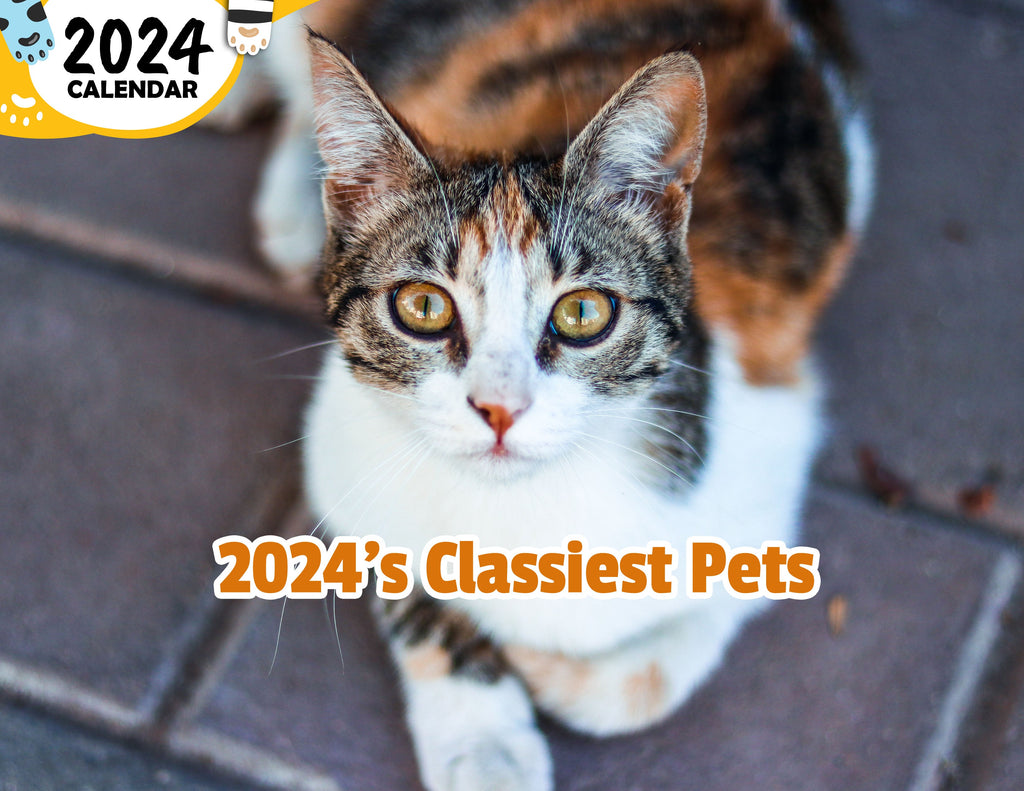 2024's Classiest Pets: 2024 Wall Calendar (Published)