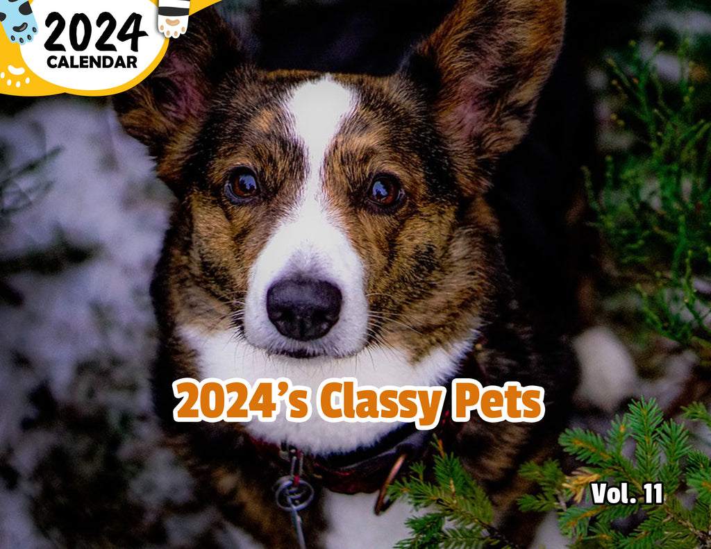 2024's Classy Pets Volume Eleven: 2024 Wall Calendar (Published)