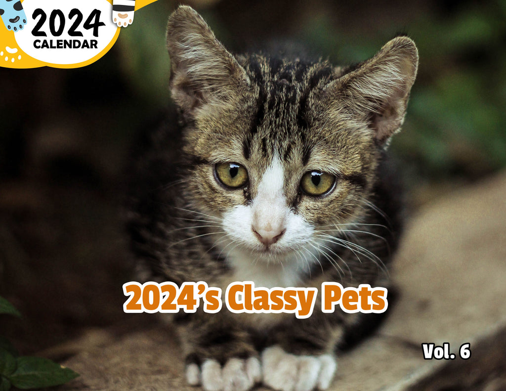 2024's Classy Pets Volume Six: 2024 Wall Calendar (Published)