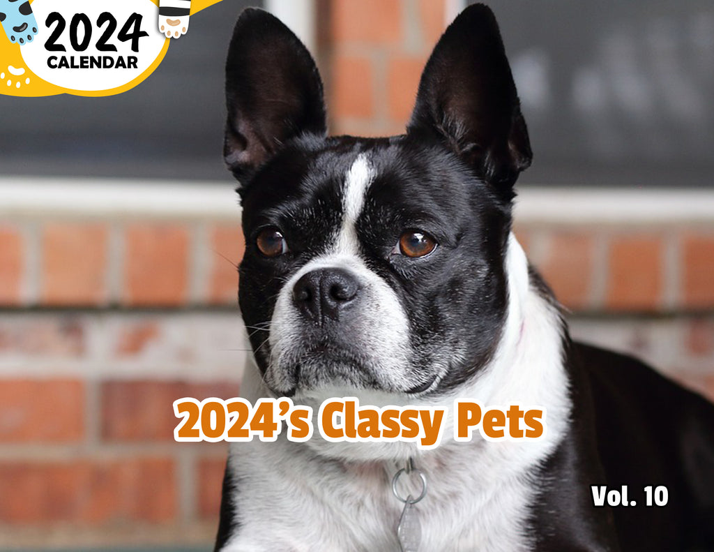 2024's Classy Pets Volume Ten: 2024 Wall Calendar (Published)