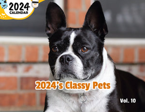 2024's Classy Pets Volume Ten: 2024 Wall Calendar (Published)