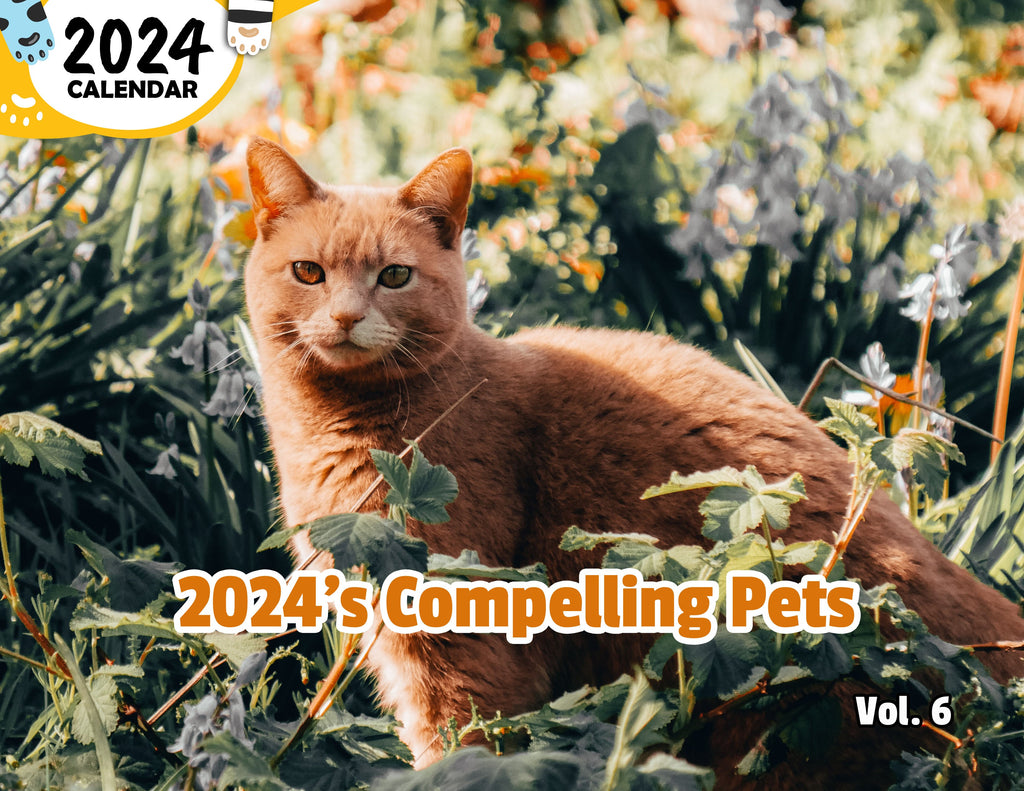 2024's Compelling Pets Volume Six: 2024 Wall Calendar (Published)