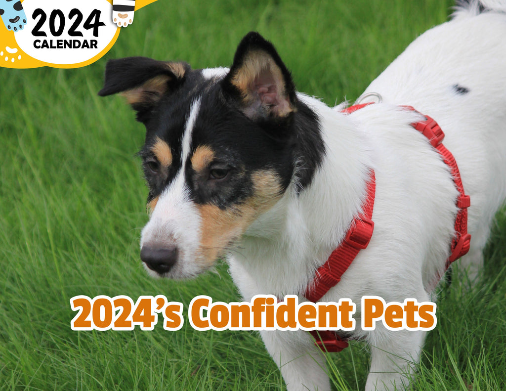 2024's Confident Pets: 2024 Wall Calendar (Published)