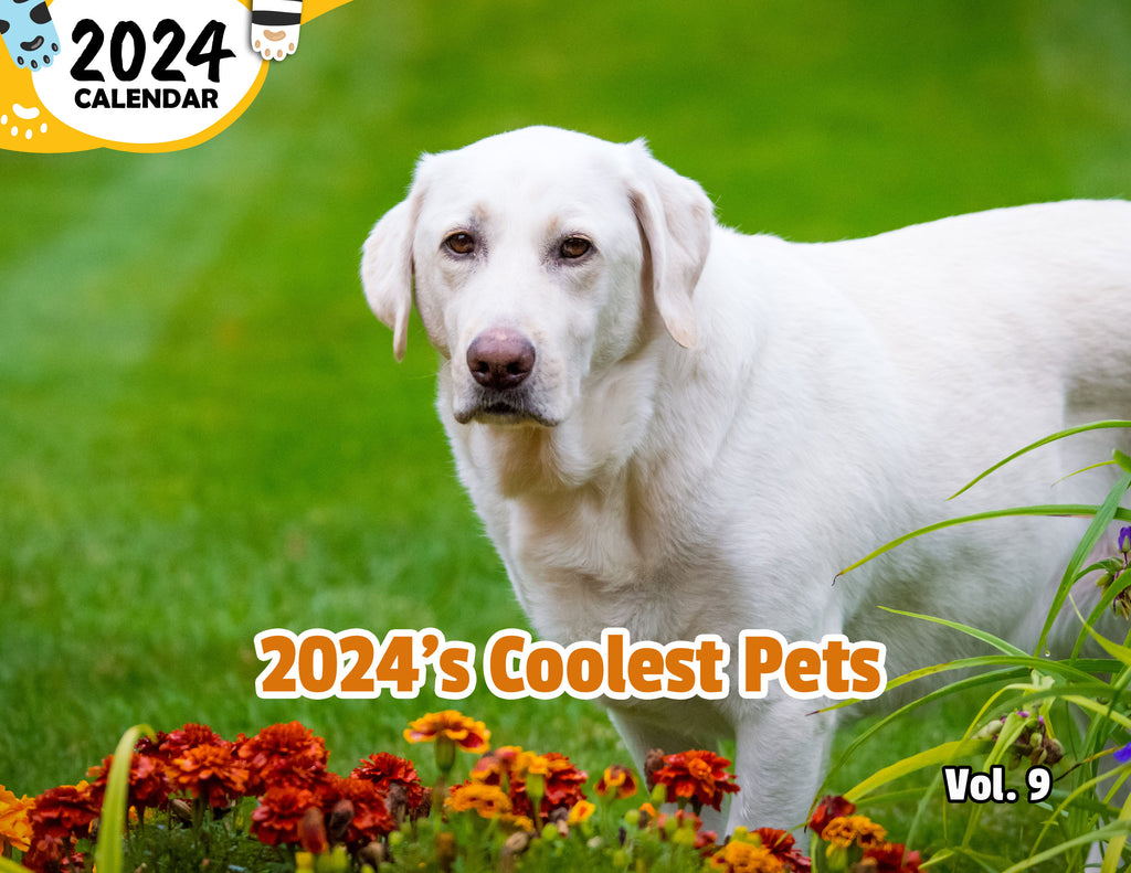 2024's Coolest Pets Volume Nine: 2024 Wall Calendar (Published)