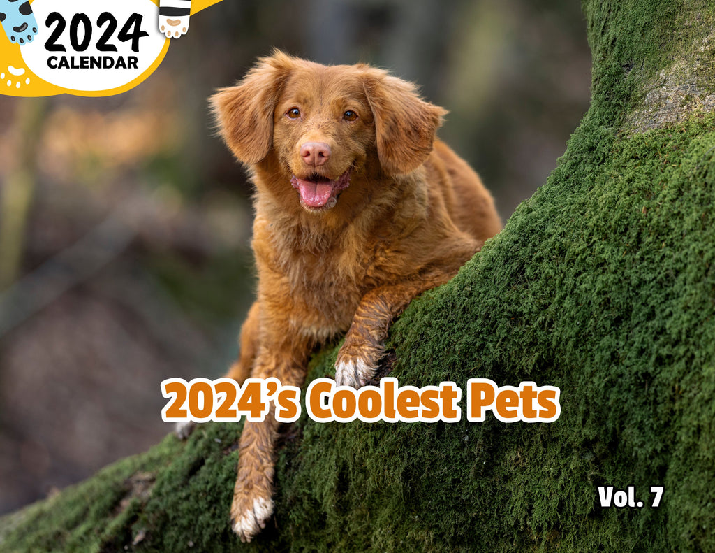 2024's Coolest Pets Volume Seven: 2024 Wall Calendar (Published)