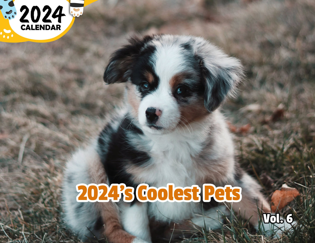 2024's Coolest Pets Volume Six: 2024 Wall Calendar (Published)