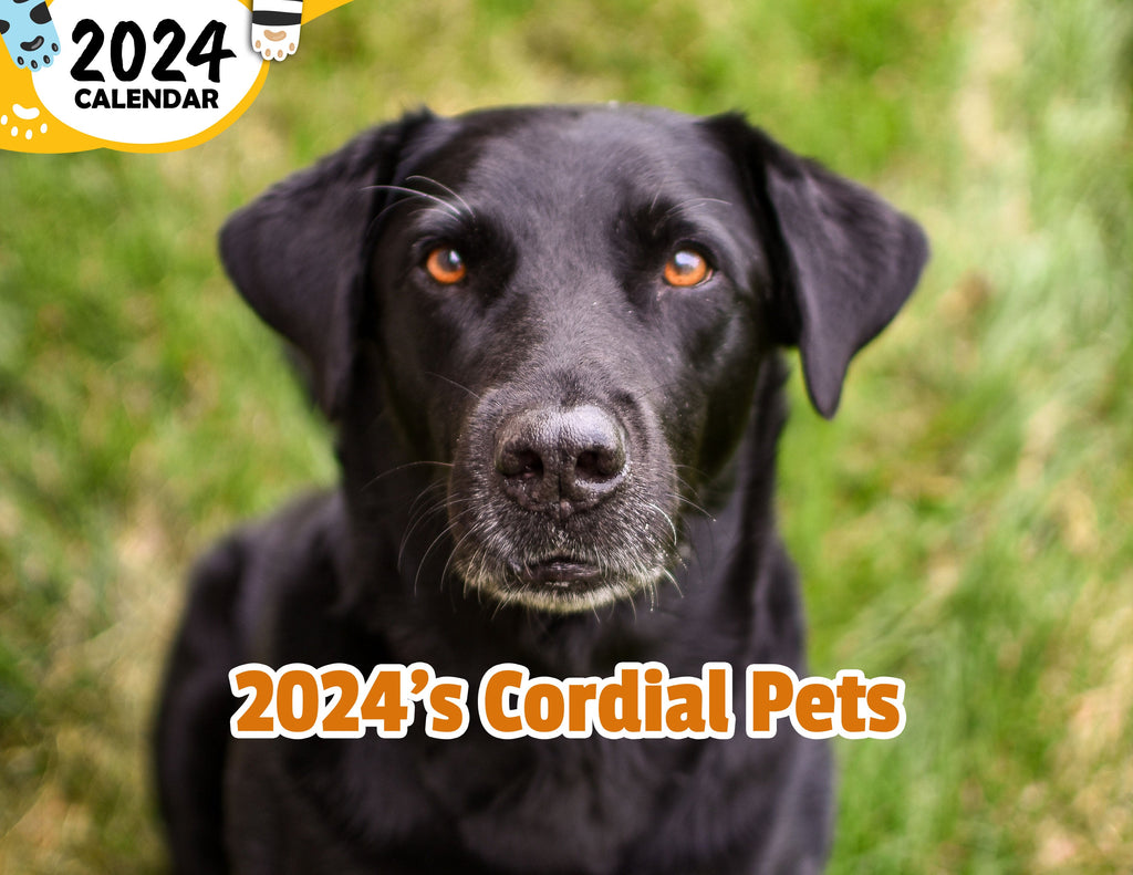2024's Cordial Pets: 2024 Wall Calendar (Published)