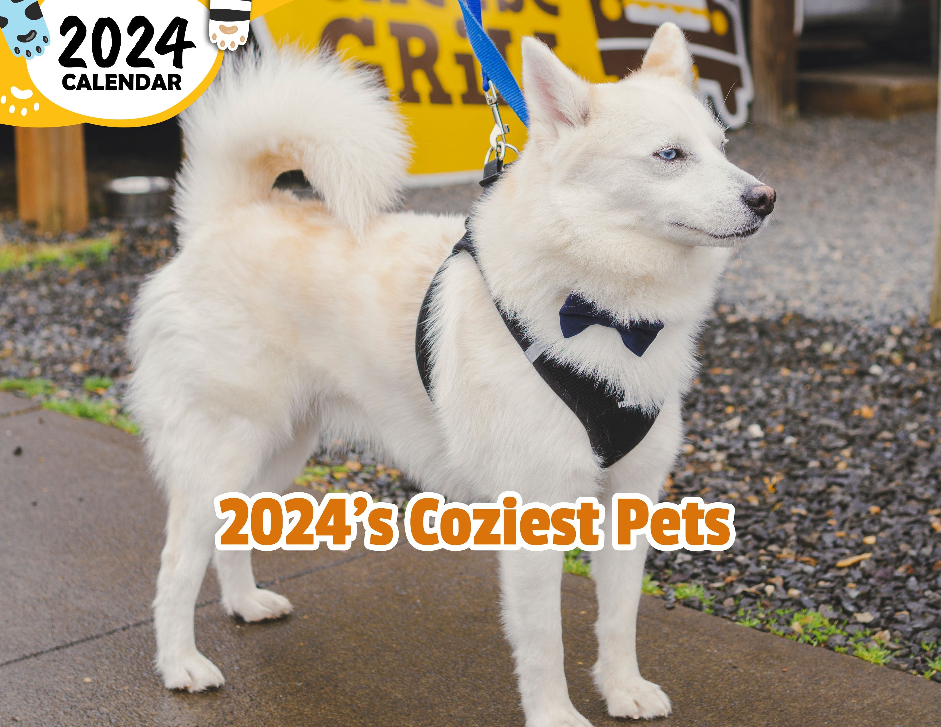2024's Coziest Pets: 2024 Wall Calendar (Published)