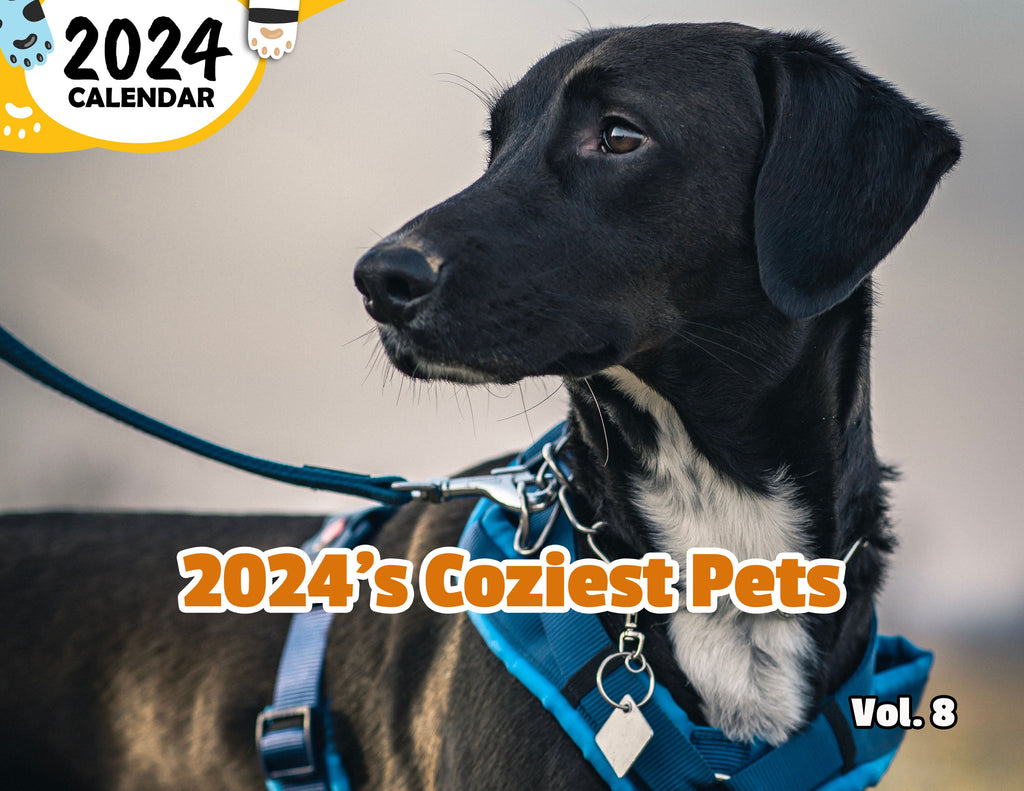 2024's Coziest Pets Volume Eight: 2024 Wall Calendar (Published)