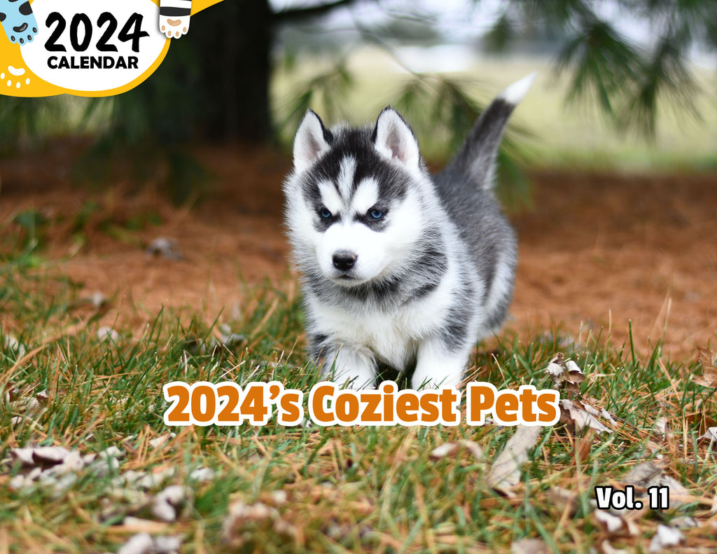 2024's Coziest Pets Volume Eleven: 2024 Wall Calendar (Published)