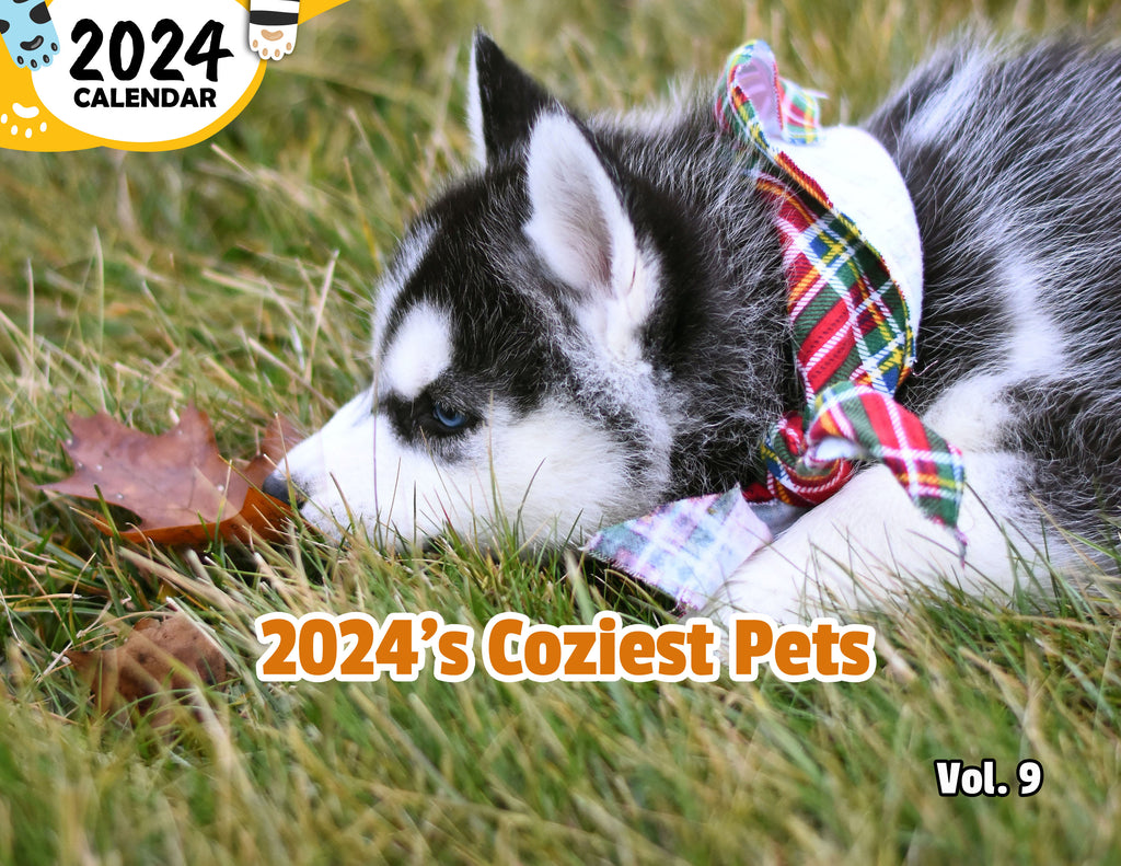 2024's Coziest Pets Volume Nine: 2024 Wall Calendar (Published)