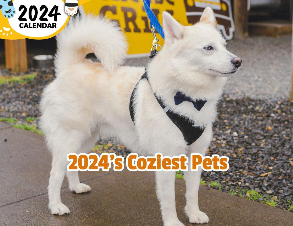 2024's Coziest Pets: 2024 Wall Calendar (Published)