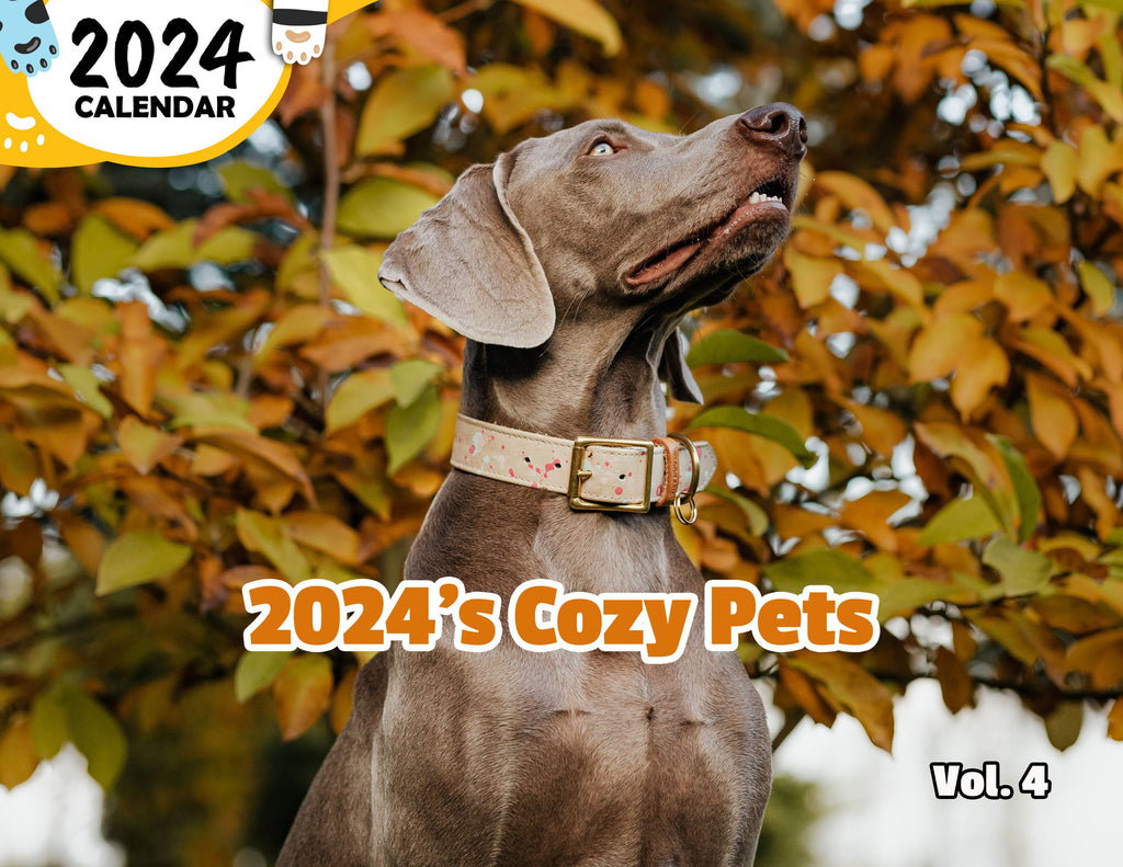 2024's Cozy Pets Volume Four: 2024 Wall Calendar (Published)