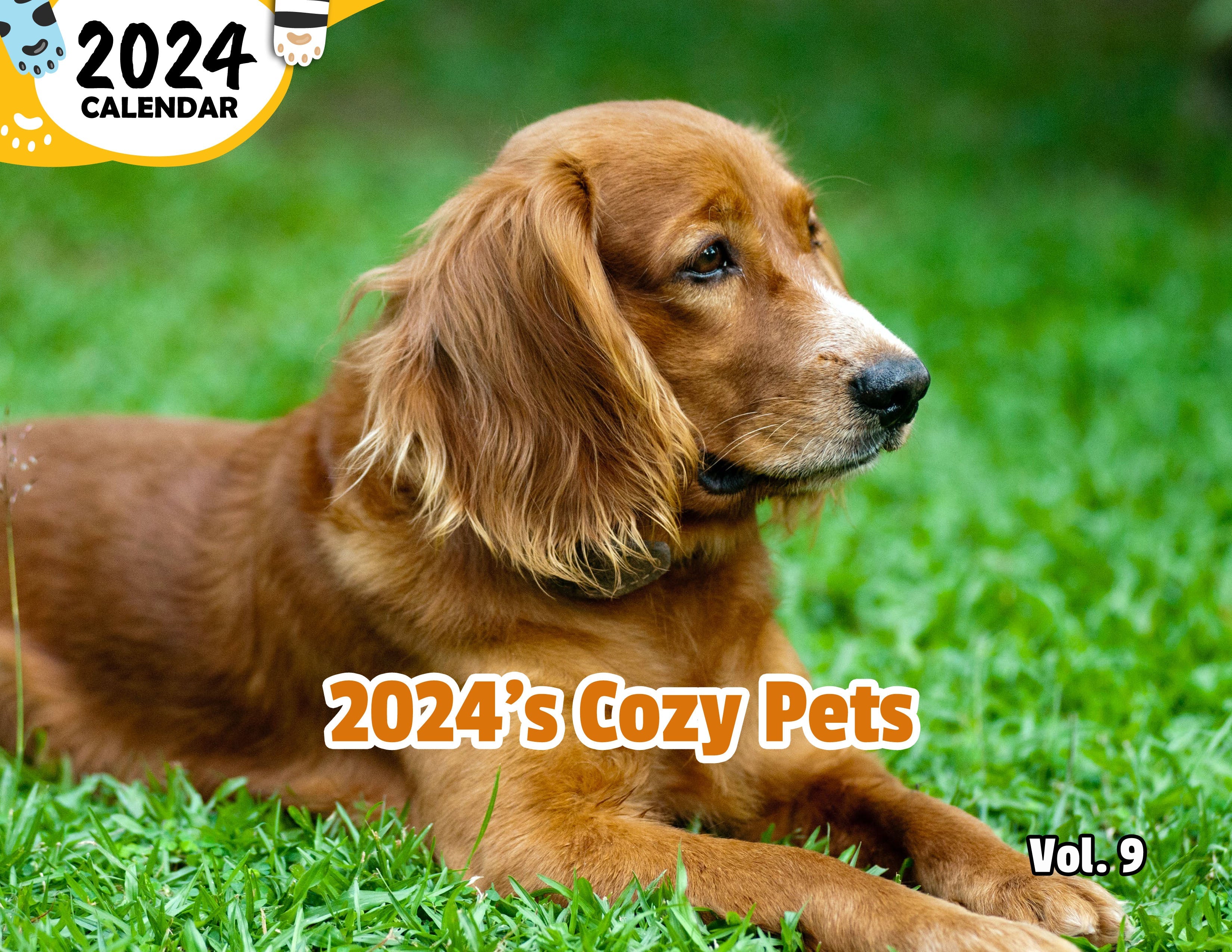 2024's Cozy Pets Volume Nine: 2024 Wall Calendar (Published)