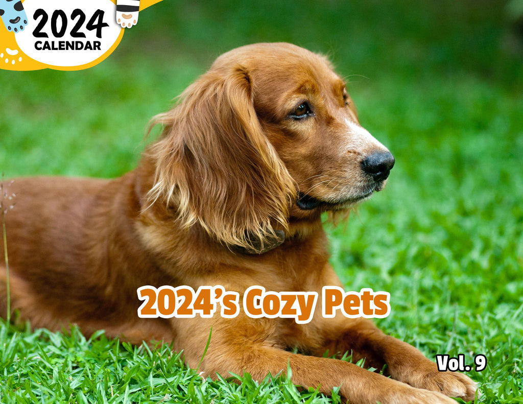2024's Cozy Pets Volume Nine: 2024 Wall Calendar (Published)