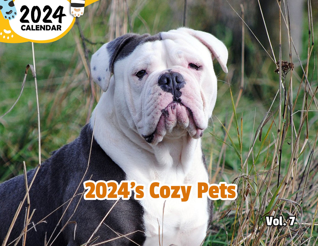 2024's Cozy Pets Volume Seven: 2024 Wall Calendar (Published)