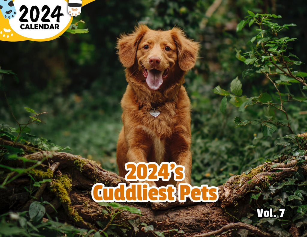 2024's Cuddliest Pets Volume Seven: 2024 Wall Calendar (Published)