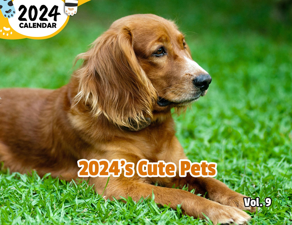 2024's Cute Pets Volume Nine: 2024 Wall Calendar (Published)