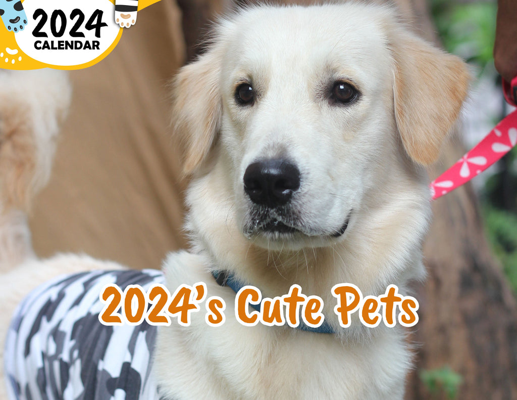2024's Cute Pets: 2024 Wall Calendar (Published)