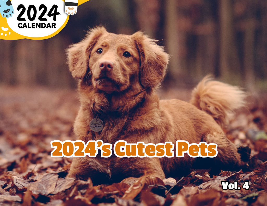 2024's Cutest Pets Volume Four: 2024 Wall Calendar (Published)