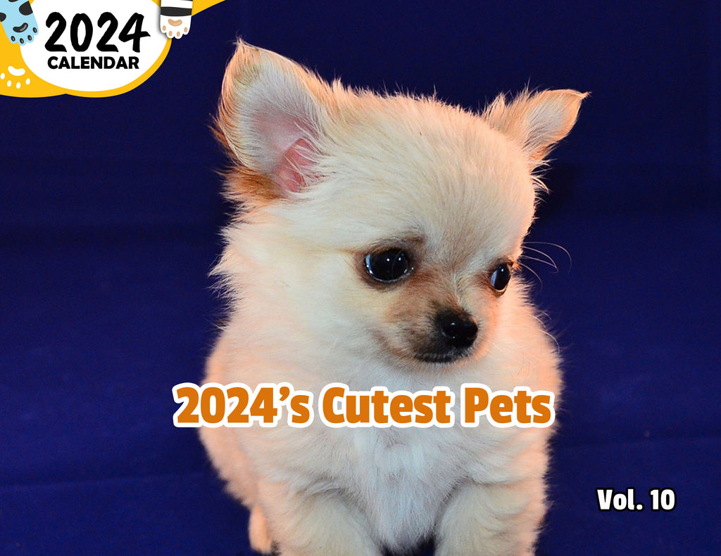 2024's Cutest Pets Volume Ten: 2024 Wall Calendar (Published)
