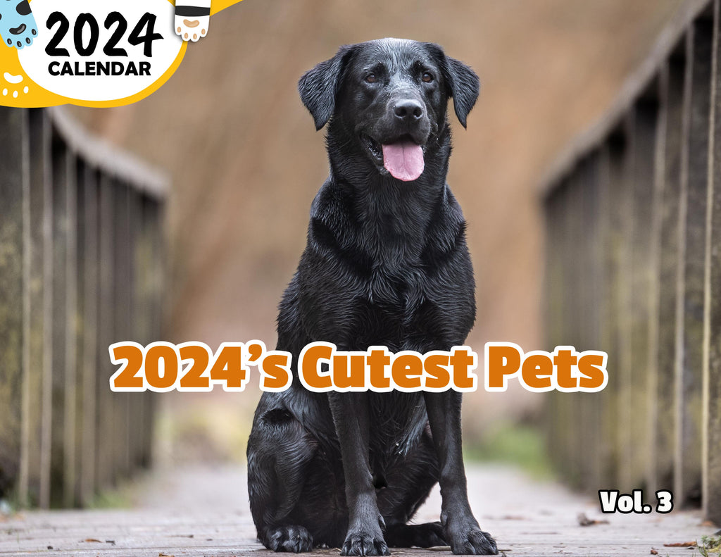 2024's Cutest Pets Volume Three: 2024 Wall Calendar (Published)