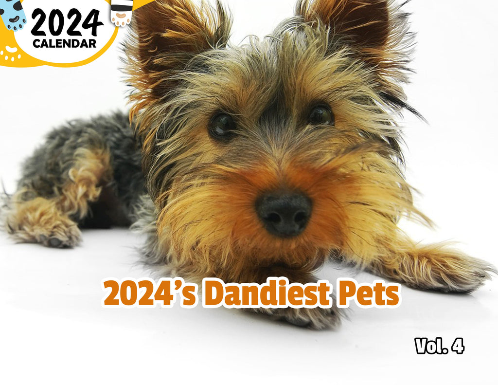 2024's Dandiest Pets Volume Four: 2024 Wall Calendar (Published)