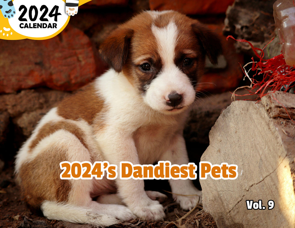 2024's Dandiest Pets Volume Nine: 2024 Wall Calendar (Published)