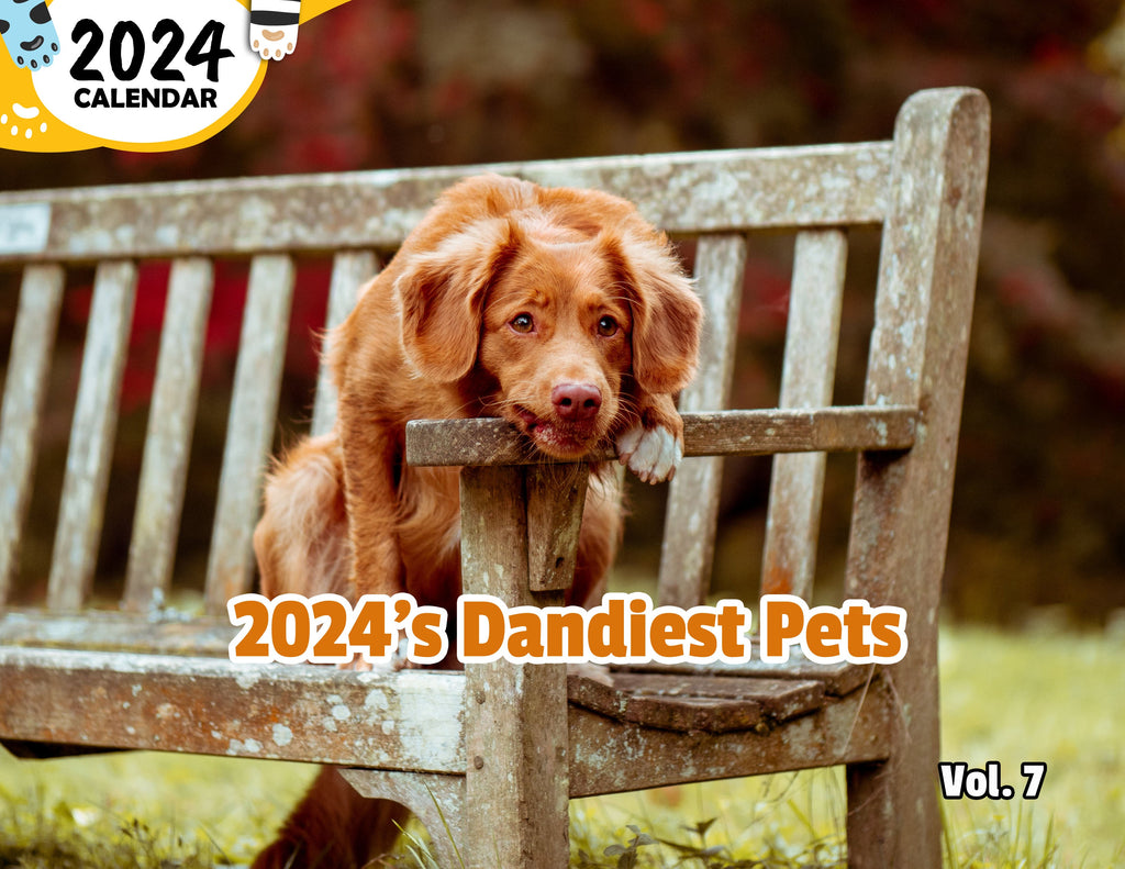 2024's Dandiest Pets Volume Seven: 2024 Wall Calendar (Published)