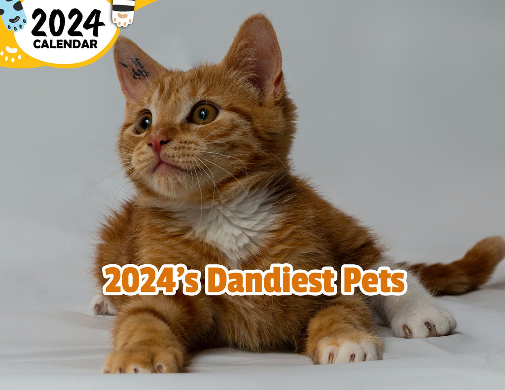 2024's Dandiest Pets: 2024 Wall Calendar (Published)