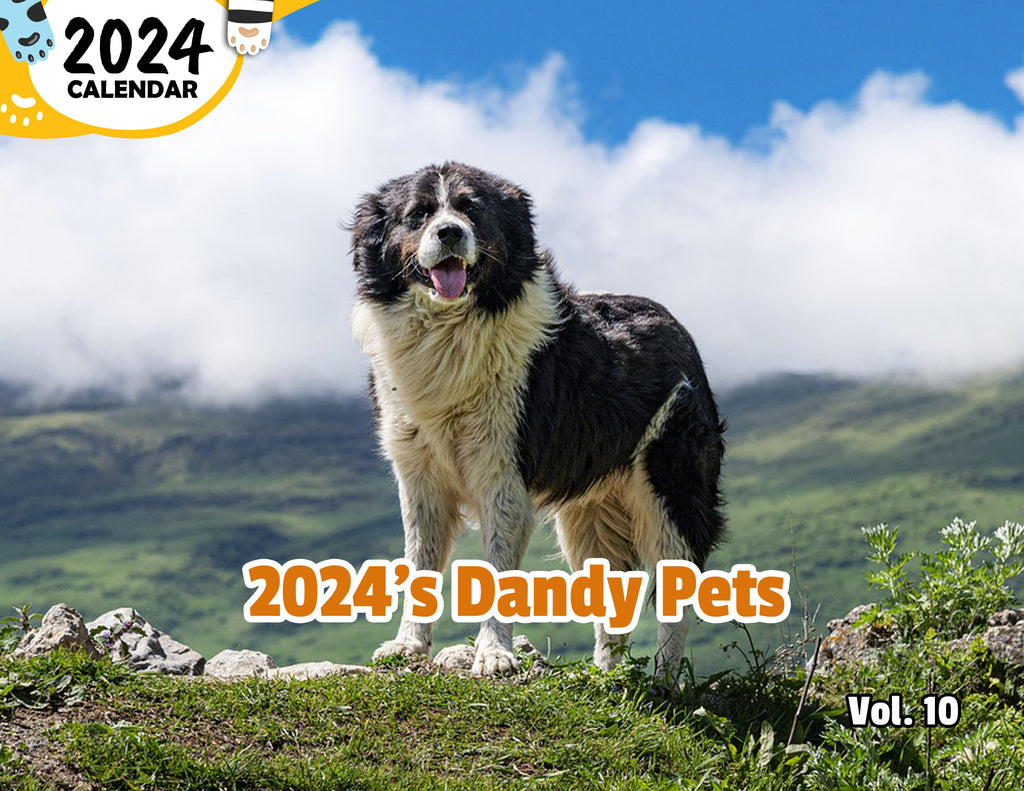 2024's Dandy Pets Volume Ten: 2024 Wall Calendar (Pre-Order)