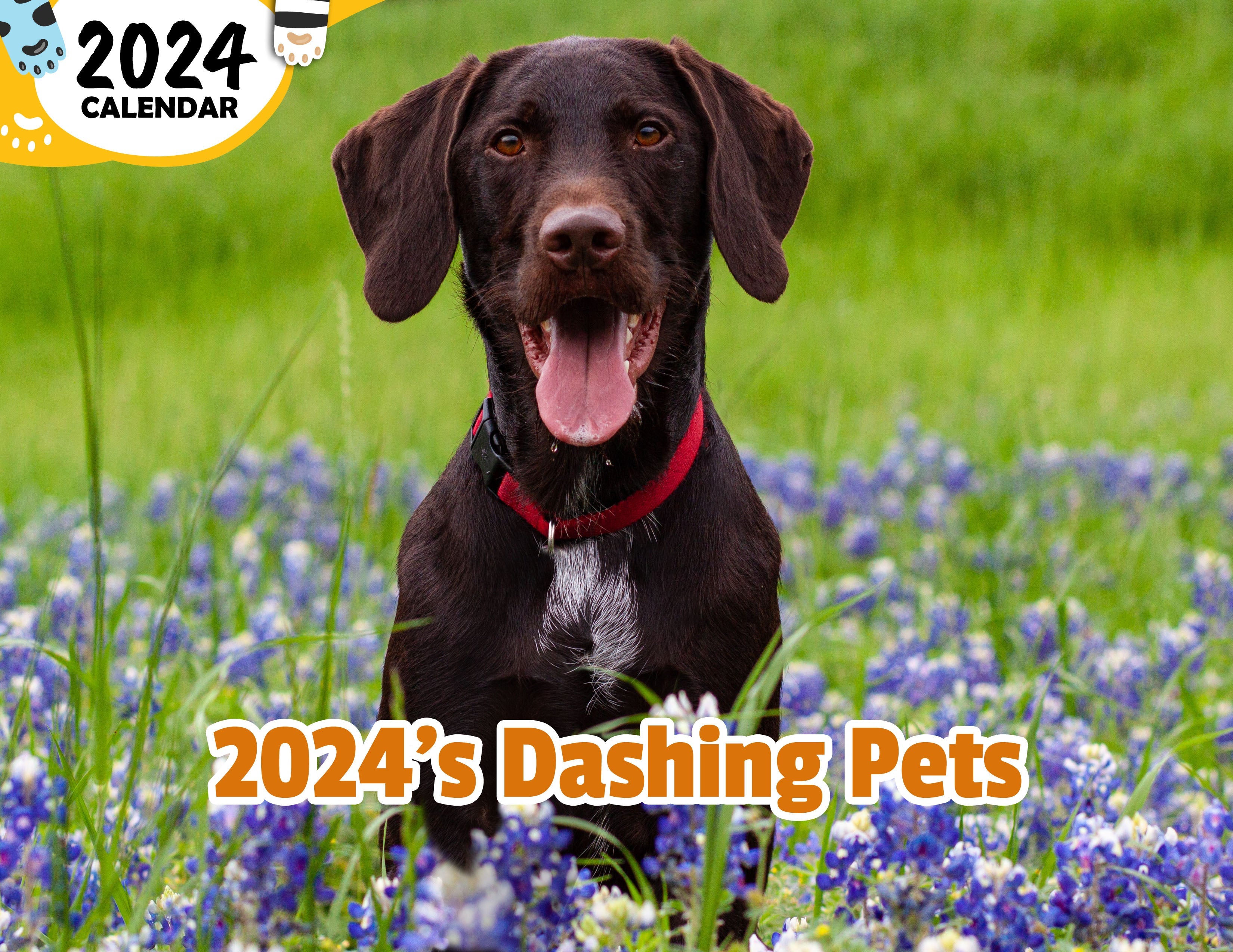 2024's Dashing Pets: 2024 Wall Calendar (Published)