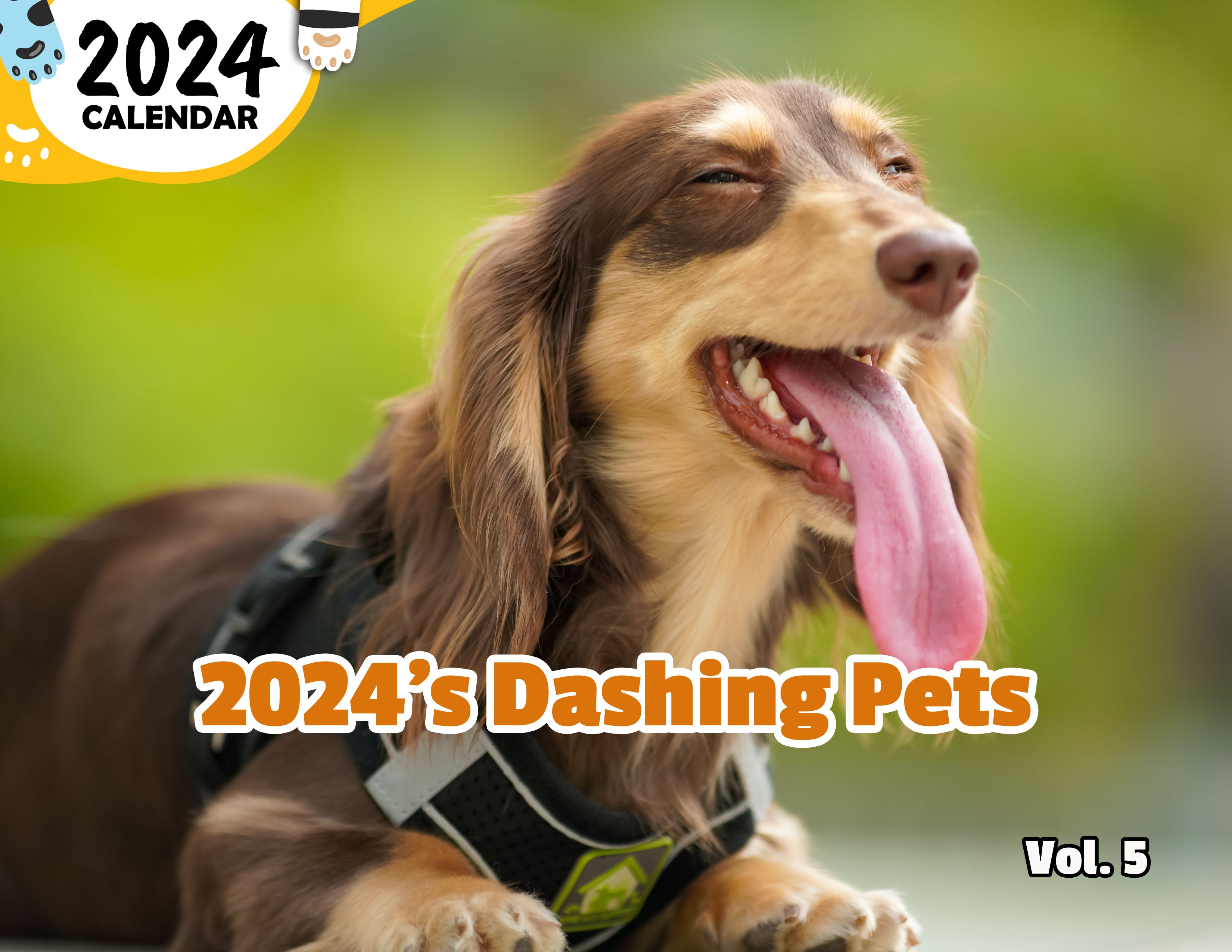 2024's Dashing Pets Volume Five: 2024 Wall Calendar (Published)