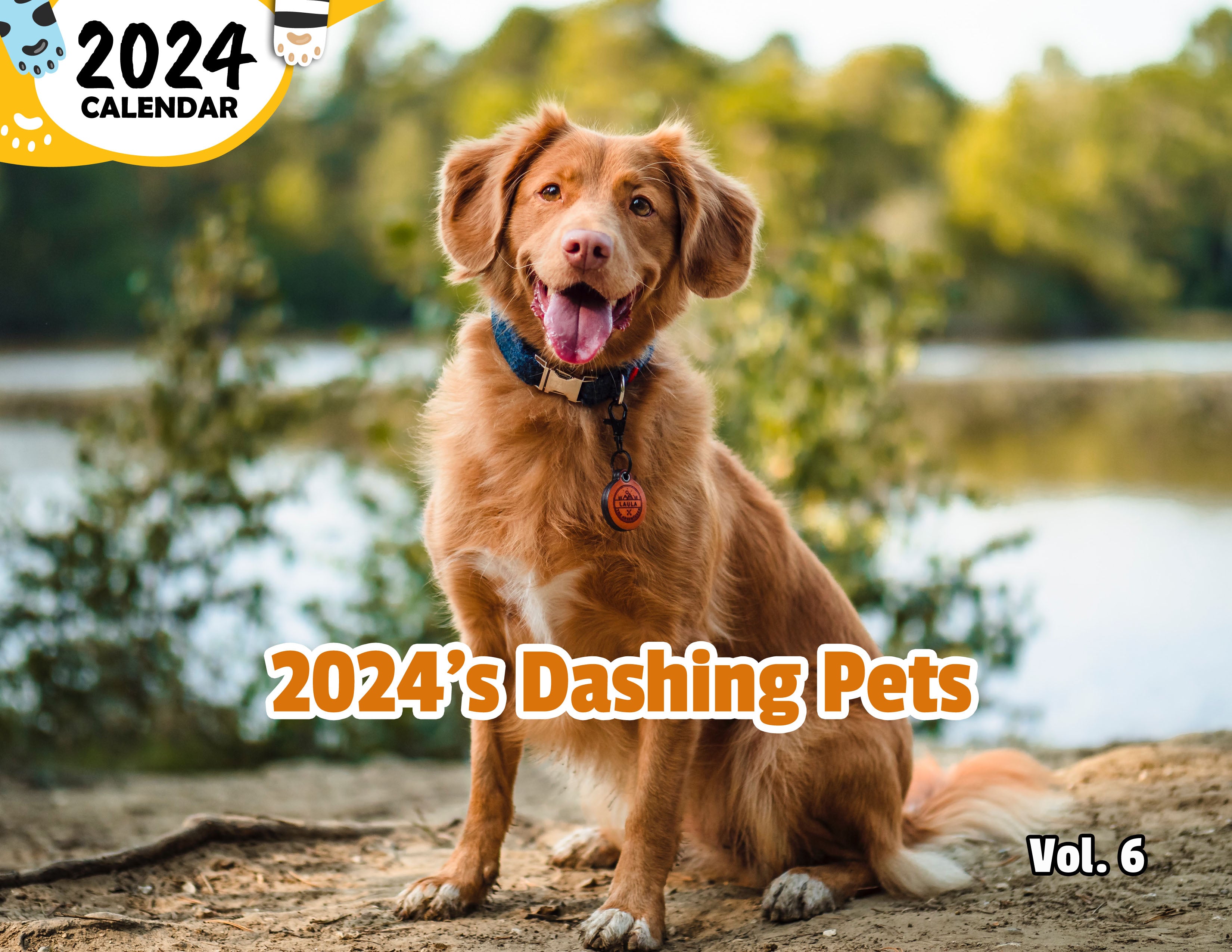 2024's Dashing Pets Volume Six: 2024 Wall Calendar (Published)