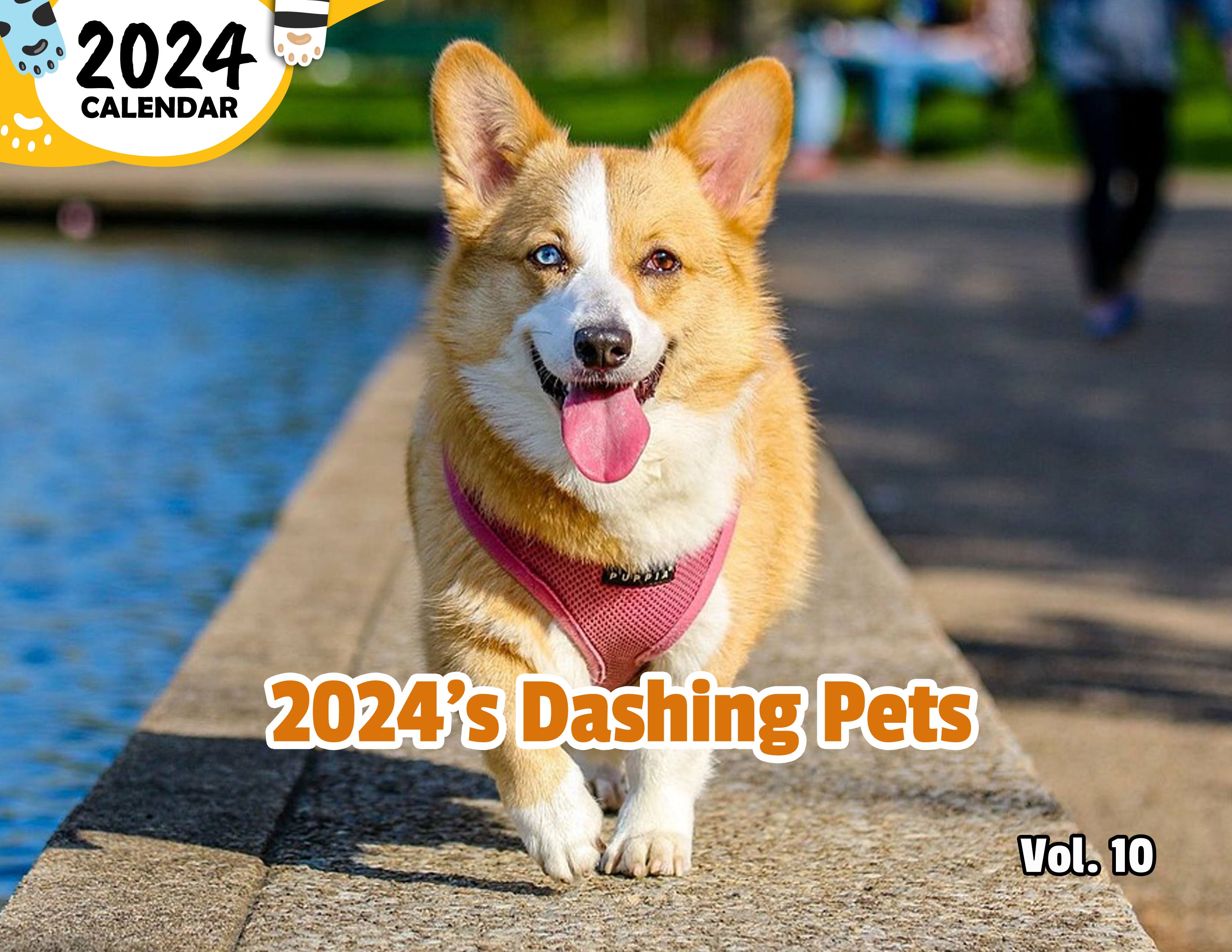 2024's Dashing Pets Volume Ten: 2024 Wall Calendar (Published)