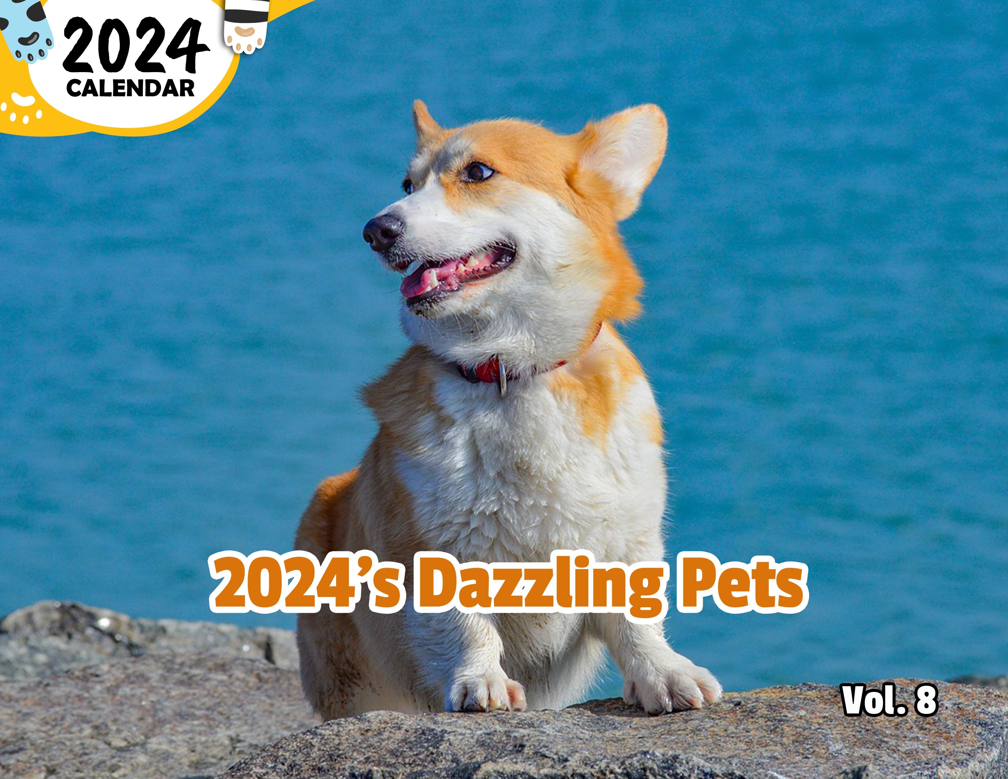 2024's Dazzling Pets Volume Eight: 2024 Wall Calendar (Published)